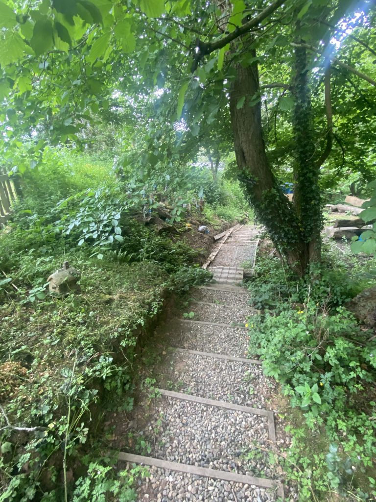 stairs through forest