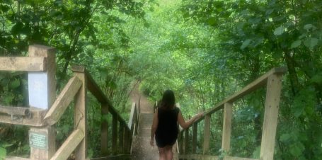 walking down stairs in the forest